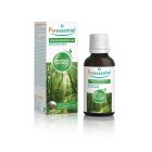 Diffuse Promenade en Forêt - Huiles essentielles pour diffusion - 30 ml