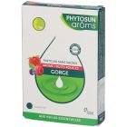 PHYTOSUN AROMS RESPIR PASTILLE SS SUCRE FR ROUG 24