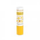 APIVITA SOIN LEVRES PROTECTEUR STICK 4G