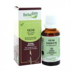 HERBALGEM VIGNE BOURGEON MACERAT GLYCERIN BIO 30ML