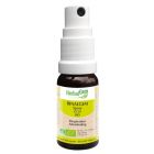 HERBALGEM RINALGEM SPRAY BUCCAL BIO 15ML
