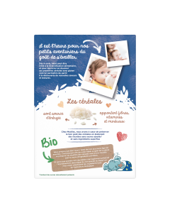 MODILAC CEREALES BIO RIZ CAROTTE 250G