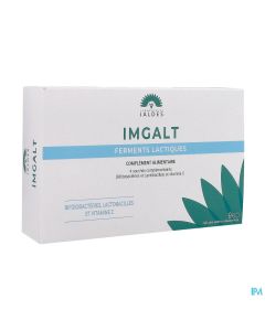 IMGALT GELULE 60