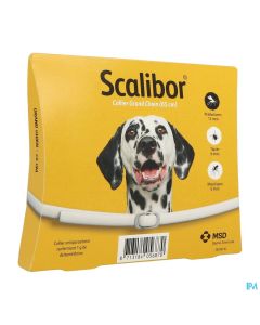 COLLIER INS CHIEN GD SCALIBOR