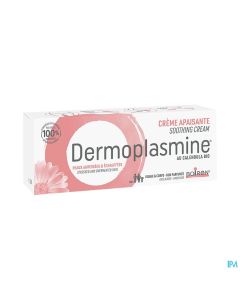 DERMOPLASMINE STICK LEV CALEND 4G