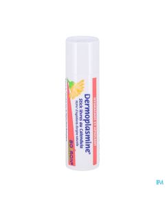 DERMOPLASMINE STICK LEV CALEND 4G