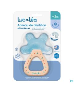 L&amp;L ANNEAU DENT REFRIG TORTUE