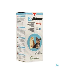 ZYLKENE GELUL 75MG 30