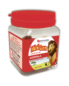 Minigums Acerola 50 Gommes