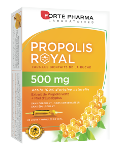 PROPOLIS 500 MG