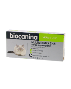 MULTIVERMYX CHAT