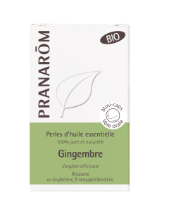 Gingembre - rhizome BIO*  - 60 PERLES