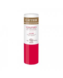 CATTIER SOIN LEVRES ANTIAGE STICK BIO 4G