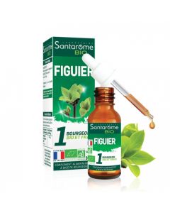 GEMMO BIO FIGUIER U52 BOURGEON 30ML