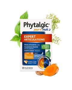 PHYTALGIC JOUR NUIT GELULE + CAPSULE 84