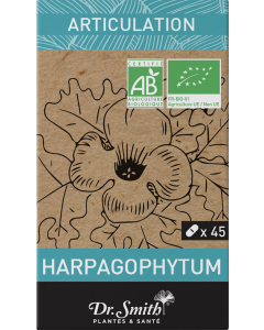 DRSMITH HARPAGOPHYTUM BIO 45 GEL