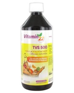 VITAMIN 22 SOLUTION BUVABLE FR EXOTIQUES 500ML