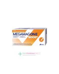 MEGAMAGBOOST SOLUTION BUVABLE STICK 20ML 10