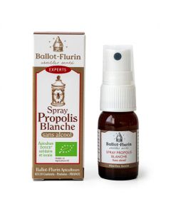 BALLOT FLURIN SPRAY PROPOLIS SS ALCOOL BIO 15ML