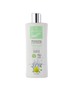 MONTBRUN SHAMPOOING ANTIPELLICULAIRE BIO 250ML