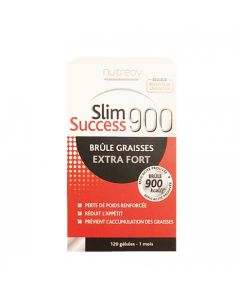 MENOPHYTEA SILHOUETTE SLIM SUCCESS GELULE 120