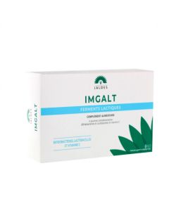 IMGALT GELULE 60