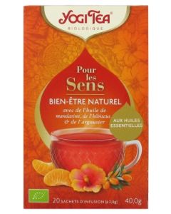 YOGI TEA BIEN ETRE NATUREL BIO INFUSETTE 2G 20