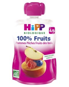 HIPP GOURDE POMME PECHE FRUITS BOIS BIO 90G