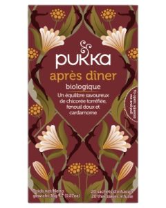 PUKKA INFUSION AFTER DINNER BIO INFUSETTE 20