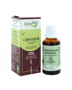 HERBALGEM CORNOUILLIER BOURGEON MACERAT BIO 30ML