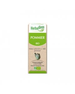 HERBALGEM POMMIER BOUGEON MACERAT GLYCER BIO 30ML