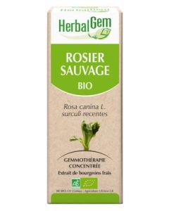 HERBALGEM ROSIER SAUVAGE JP BOUGEON MACER BIO 30ML