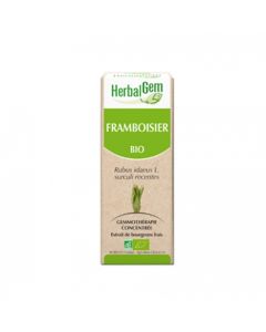 HERBALGEM FRAMBOISIER BOUGEON MACERAT GLY BIO 30ML