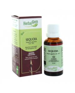 HERBALGEM SEQUOIA JP BOURGEON MACERAT GLY BIO 30ML