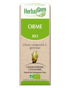 HERBALGEM ORME BOURGEON MACERAT GLYCERINE BIO 30ML