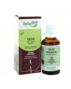 HERBALGEM VIGNE BOURGEON MACERAT GLYCERIN BIO 30ML