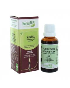 HERBALGEM SUREAU NOIR BOUGEON MACERAT GLY BIO 30ML