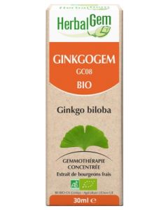 GINKGOGEM COMPLEXE BIO 30ML