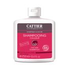 Shampooing Sans Sulfates Cheveux Colorés bio- 250 ml