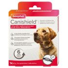 CANISHIELD COLLIER ANTIPUCE GRAND CHIEN