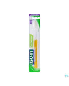 BDEN GUM DELICATE 317