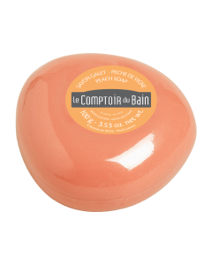 LCB SAVON GALET SURG.PECHE DE VIGNE 100G