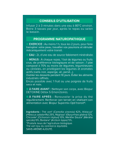 BIOPUR / INFUSION THE VERT DETOX BIO* 30 G/ ETUI DE 20S