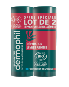 DERMOPHIL LOT 2 STICKS LEVRES BIO ABIMEES