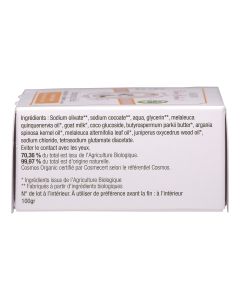 MAISON BERTHE GUILHEM Shampoing solide cheveux anti-pelliculaires bio 100g