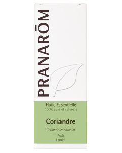 Coriandre - feuille  - 10 ml