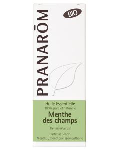 Menthe des champs  - partie aérienne BIO*  - 10 ml