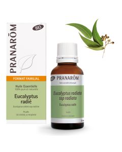 Eucalyptus radié - feuille BIO*  - 30 ml
