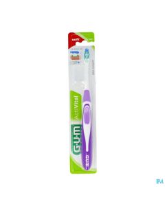 BDEN ACTIVITAL GUM ULTR COMP585