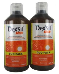 DEXSIL ARTICULATIONS + MSN GLUCOSAM CHONDR 1L X2